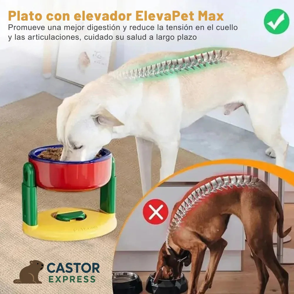 . Elevapet Max - Comendero regulable - Mejora la postura al comer y pisos más limpios todos los días