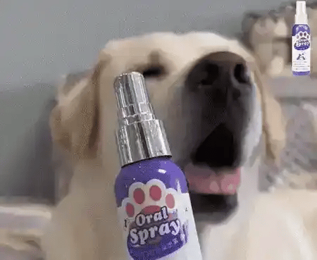 Oral Pet Spray- Reduce mal aliento y ayuda a prevenir sarro sin estr – Castor Express SpA